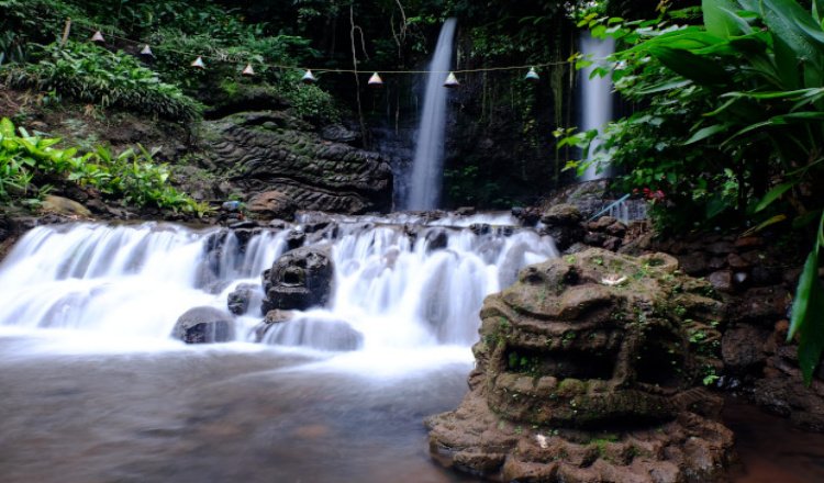 Banyuwangi Punya Air Terjun Dibelantaran Hutan Pinus