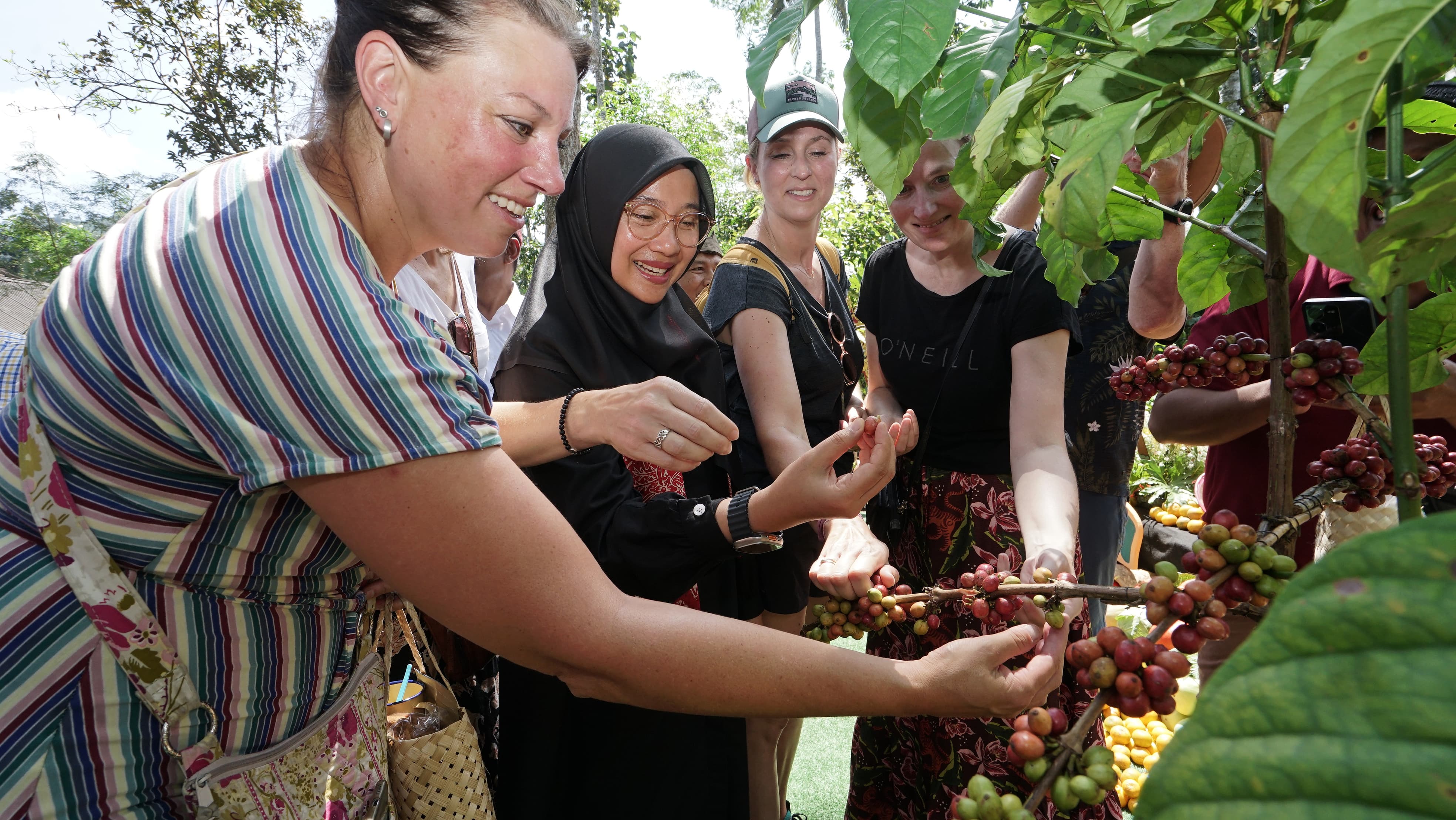 Bupati Ipuk: Festival Kopi Perkuat Brand dan Pasar Kopi Banyuwangi