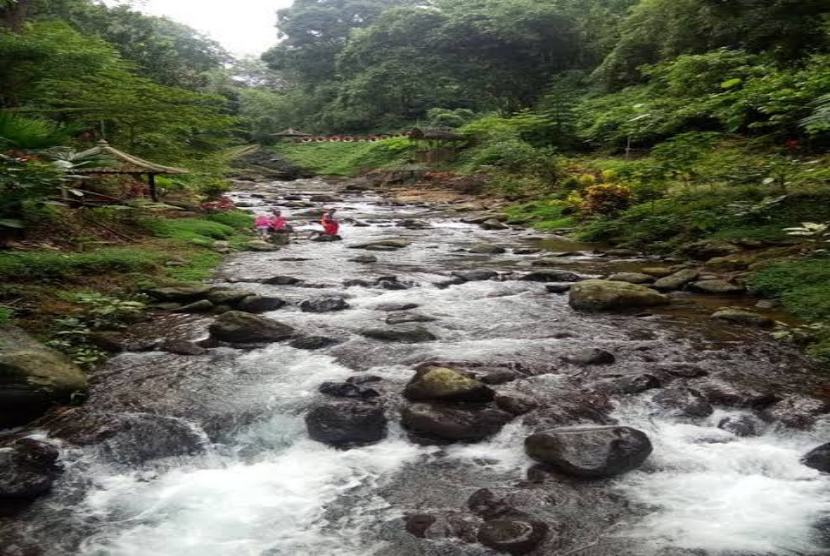 Wisata Air Terjun Ditengah Hutan Banyuwangi 