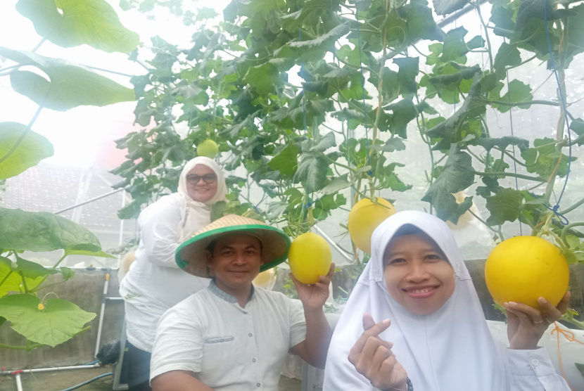 Banyuwangi Terus Kembangkan Smart Green House untuk Dukung Ketahanan Pangan