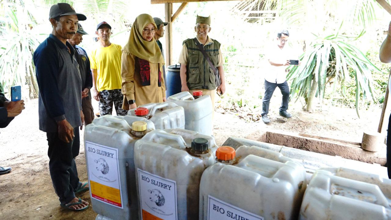 Inovasi Peternak Domba di Sumbermulyo: Biogas dari Kotoran Hewan