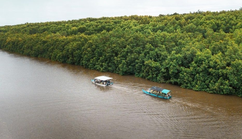 Mangrove Bedul: Destinasi Wisata Edukatif di Tengah Keindahan Banyuwangi