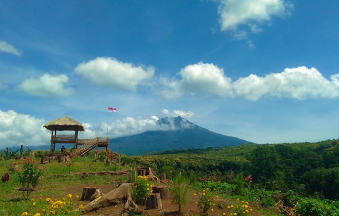 Puncak Asmoro, Destinasi Wajib di Banyuwangi untuk Pecinta Alam dan Fotografi