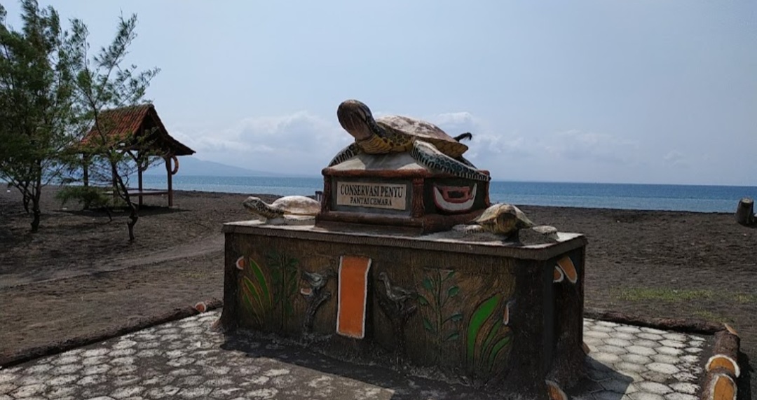 Hamparan Pasir dan Konservasi Penyu Jadi Daya Tarik Pantai Cemara