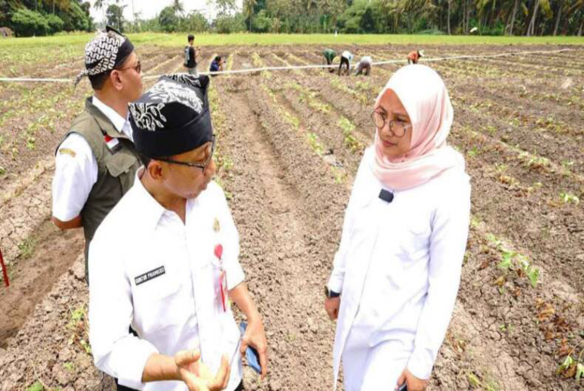 Petani Banyuwangi Dilibatkan dalam Sosialisasi RTTG 2024